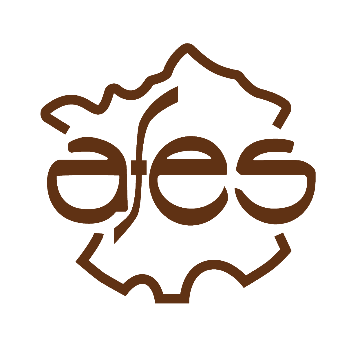 Logo-AFEs presentation Logo-AFEs presentation